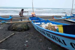 PERIKANAN BANTUL : Seminggu Paceklik, Penghasilan Nelayan Depok Berkurang 50 %