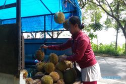 KULINER PONOROGO : Durian Ngebel Habis, Ponorogo Diserbu Durian Trenggalek