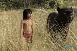 FILM TERBARU : The Jungle Book: Petualangan Menyusuri Hutan Rimba