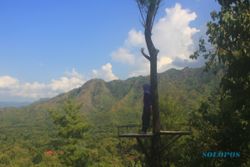 WISATA PONOROGO : Tawarkan Rumah Pohon, Gunung Beruk Diserbu 7.000 Turis/Bulan