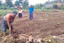 PASAR TRADISIONAL KULONPROGO : Pembangunan Pasar Bendungan Darurat Harus Cepat