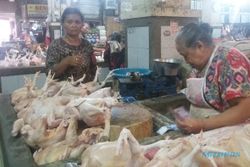 HARGA KEBUTUHAN POKOK : Daging Ayam di Ponorogo Rp30.000/kg, Harga Diprediksi Terus Naik