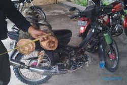 PENCURIAN NGAWI : Bawa 2 Batang Kayu Jati, Warga Bringin Digelandang Polisi