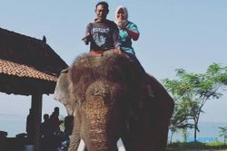 KISAH TRAGIS : Meninggal Diinjak Gajah WGM Wonogiri, Begini Luka-Luka yang Dialami Dokter Cantik
