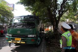 KECELAKAAN SOLO : Tersangkut Truk, Pohon Mahoni di Jl Juanda Tumbang