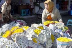 RAMADAN 2016 : Jelang Puasa, Harga Bunga Mawar Melonjak