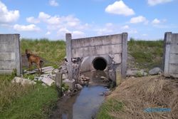 PERTANIAN BOYOLALI : Tak Ada Petugas Pintu Air Irigasi, Rebutan Air Sesama Petani Rentan Gesekan Sosial
