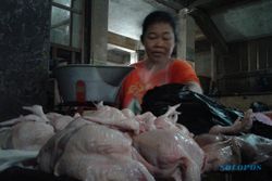 KEBUTUHAN POKOK SOLO : Harga Daging Ayam dan Ikan Segar Melonjak