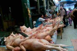 KEBUTUHAN POKOK SRAGEN : Harga Daging Ayam di Pasar Bunder Merangkak Naik