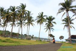 WISATA PACITAN : Inilah 11 Pantai yang Patut Dikunjungi Wisatawan