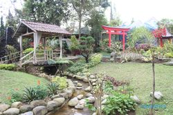 WISATA SOLO : Investor Tertarik Bikin Museum Kupu-Kupu di Taman Balekambang