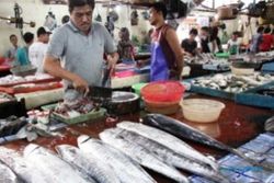 PENATAAN PEDAGANG : Akhir Juli 2016, Pasar Ikan Rejomulyo Geser 200 M