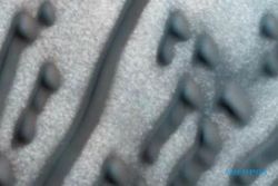 KONTROVERSI ALIEN : Kode Morse “Alien” Ditemukan di Permukaan Mars