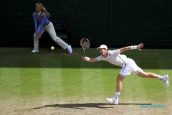 KABAR PETENIS : Fokus Olimpiade, Murray Absen di Rogers Cup
