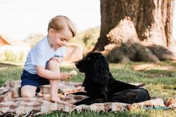 KELUARGA KERAJAAN INGGRIS : Foto Pangeran George Beri Makan Anjing Tuai Kontroversi
