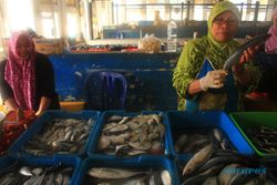 HARGA IKAN PACITAN : Cuaca Buruk, Harga Ikan di Pacitan Setiap Hari Naik