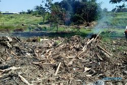 Rusak Akibat Banjir, Perbaikan Taman Urban Forest III Mencapai Rp100 juta