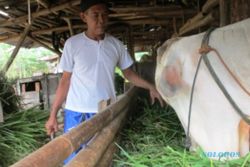 KISAH INSPIRATIF : Pencari Rumput Asal Semarang Ini Wujudkan Mimpi Naik Haji