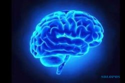 Perusahaan Teknologi AS Berencana Hidupkan Kembali Otak yang Telah Mati