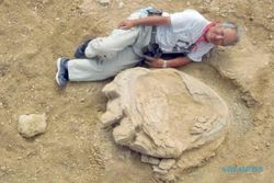Jejak Kaki Dinosaurus Terbesar Ditemukan di Mongolia