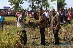 Produksi Beras 2016 Surplus, Menteri Pertanian Klaim Tak akan Impor Beras