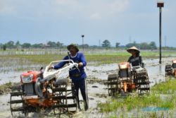 Seminar UGM-UNS: Pengelolaan Lahan Pertanian Harus Perhatikan Konservasi Tanah dan Air