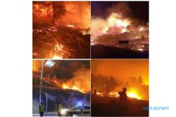 Palestina Bantu Padamkan Badai Api di Israel