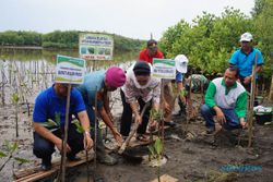 WISATA KULONPROGO : Mangrove Jadi Ikon Wisata Baru, Sudahkah Kamu Kesana?