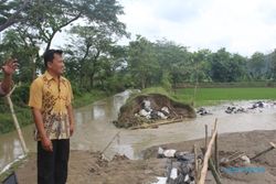 BENCANA KLATEN : Tanggul Sungai Gamping Jebol Lagi, Puluhan Hektare Sawah Tergenang
