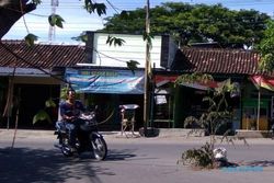 INFRASTRUKTUR SUKOHARJO : Warga Gatak Tanam Pohon Talok di Jalan Berlubang