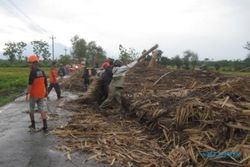 ANGIN KENCANG KLATEN : 1 Mobil Tertimpa Pohon, Los Tembakau Ambruk