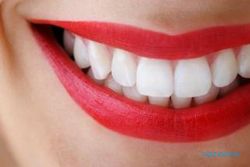 Mengulas Oklusi Gigi dan Cara Penanganan Maloklusi