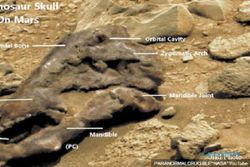 Pengamat Antariksa Temukan Penampakan Mirip Fosil Dinosaurus di Planet Mars