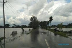 PERTANIAN KLATEN : Sawah Kebanjiran, 381 Petani Terima Klaim Asuransi