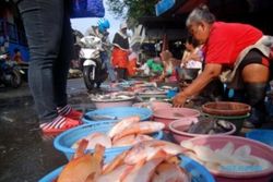FOTO PASAR TRADISIONAL SEMARANG : Perdagangan Ikan Ungaran Bergairah