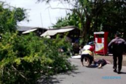 ANGIN KENCANG DEMAK : Angin Menerjang, Pohon Tumbang, Pengguna Jalan Jadi Korban