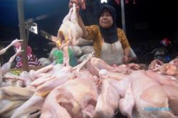 FOTO HARGA KEBUTUHAN POKOK : Sudah Sepekan, Harga Ayam Naik…
