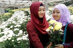KISAH INSPIRATIF : Mahasiswa Unnes Bisniskan Kebun Bunga untuk Objek Selfi