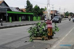 KECELAKAAN KENDAL : Kerap Bikin Celaka, Jalan Rusak Ditanami Dahan Pohon