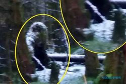Warga Irlandia Utara Tangkap Penampakan Makhluk Misterius Bigfoot