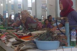 LIBUR AKHIR TAHUN : Harga Ikan Laut di Pantai Depok Melambung