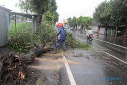 ANGIN KENCANG KARANGANYAR : Lisus Robohkan Baliho dan Pohon di Jl. Adisucipto Colomadu