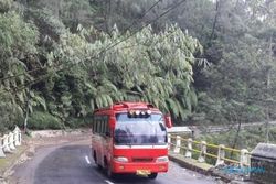 Awas, Pohon Nyaris Tumbang Bahayakan Pengguna Jalur SSB Boyolali