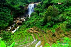 Lima Daerah Paling Sepi di Ponorogo, Kecamatan Ngrayun Tersepi