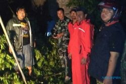 ANGIN KENCANG KLATEN : Pepohonan di Cawas Tumbang