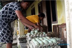 Dijuluki Kampung Bebek Sragen, 80% Warga Nusupan Hidup dari Telur Itik