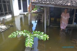 FOTO BENCANA KUDUS : Begini Banjir Rendam Jati Wetan