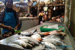 PERIKANAN KULONPROGO : Ikan Laut Langka, Pedagang Sediakan Ikan Tawar