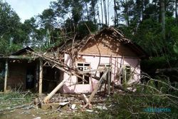 BENCANA PONOROGO : Angin Kencang, 1 Rumah di Ngrayun Rusak Tertimpa Pohon