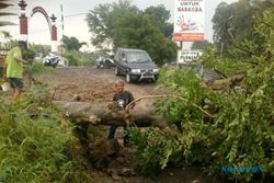 BENCANA SOLO : Tertutup Pohon Tumbang, Akses Jembatan Tapen Sudah 4 Hari Terganggu